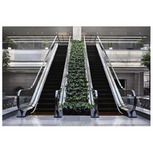 Sicher Elevator Gre20 Slim Escalator